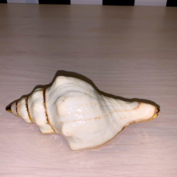 Accessories - Vintage 1970s Real Shell Belt Buckle Ivory & Gold Nautical Coastal Beach Vibe